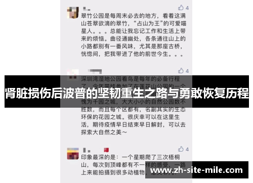 肾脏损伤后波普的坚韧重生之路与勇敢恢复历程