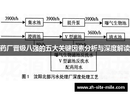药厂晋级八强的五大关键因素分析与深度解读